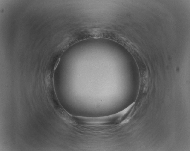 X0000051250611200506241548