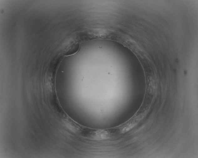 X0000051250612200506241548