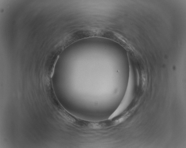 X0000051250613200506241548