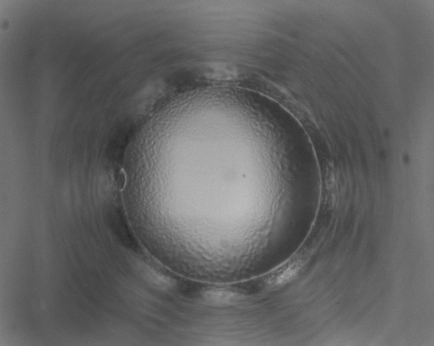 X0000051250614200506241548