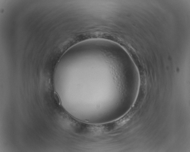 X0000051250615200506241548