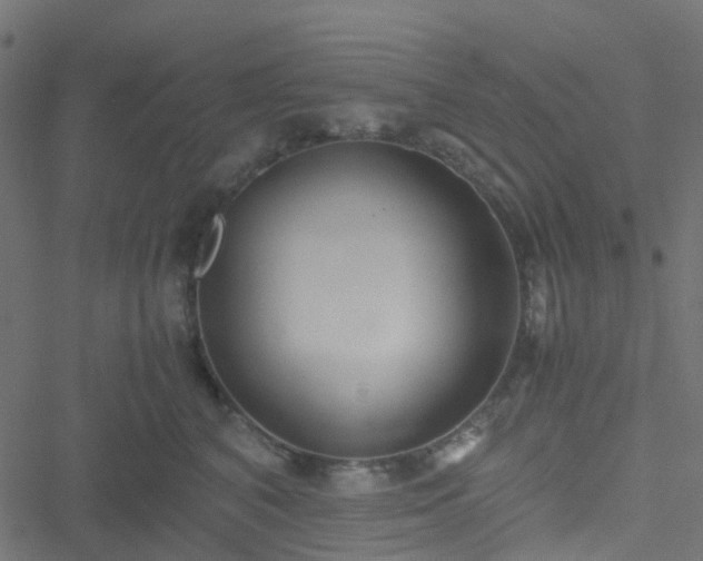 X0000051250616200506241548