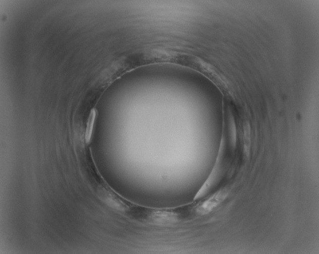 X0000051250617200506241548