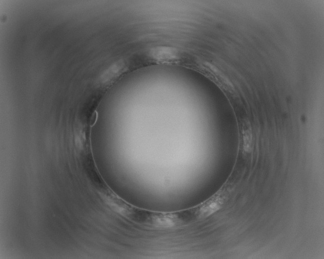 X0000051250618200506241548