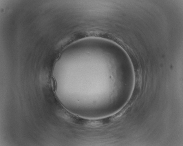 X0000051250619200506241548