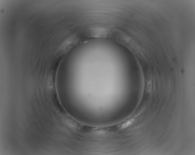 X0000051250620200506241548