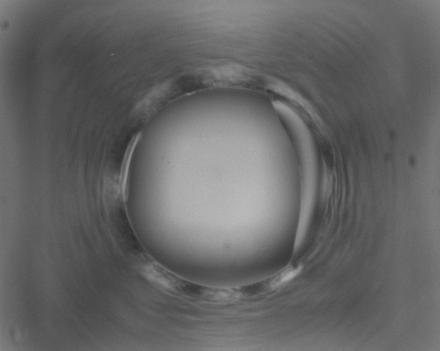 X0000051250621200506241548