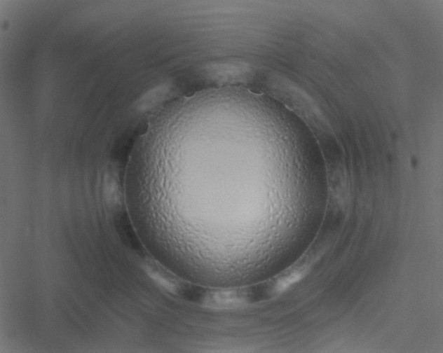 X0000051250622200506241548