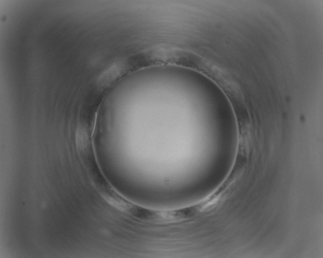 X0000051250623200506241548