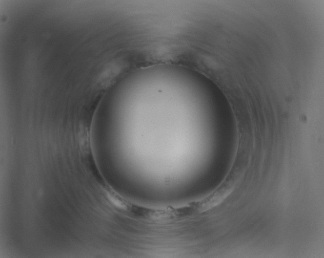 X0000051250624200506241548