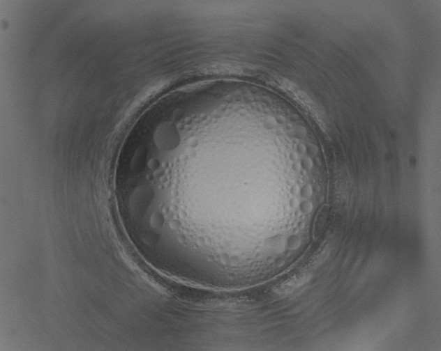 X0000051250625200506241547