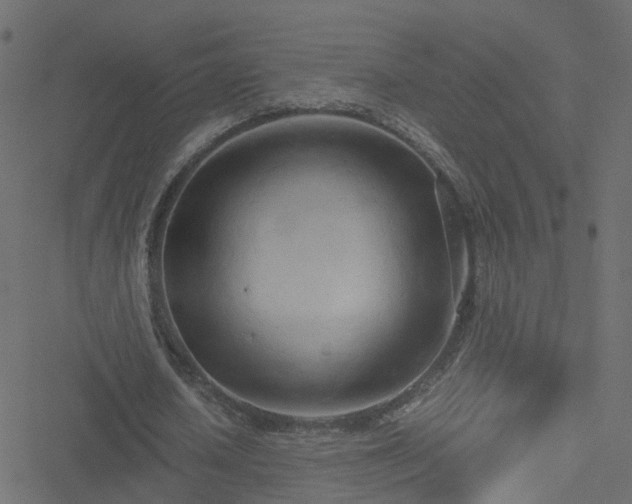 X0000051250626200506241547