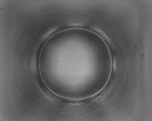 X0000051250627200506241547