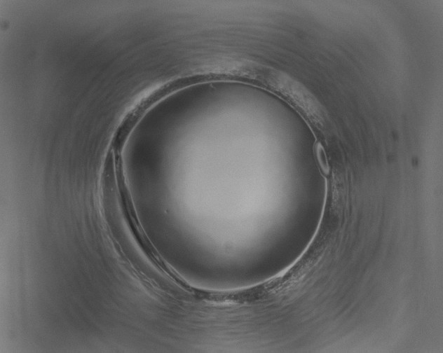 X0000051250628200506241547