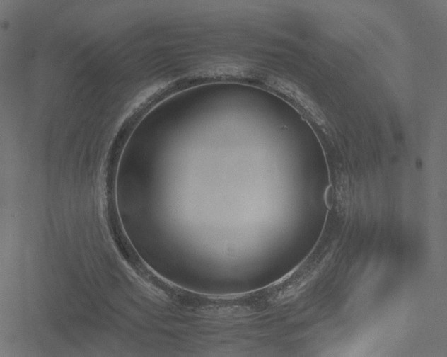 X0000051250629200506241547