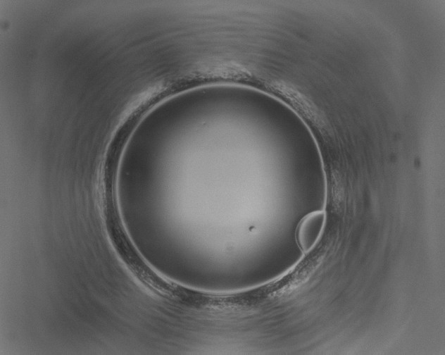 X0000051250630200506241547