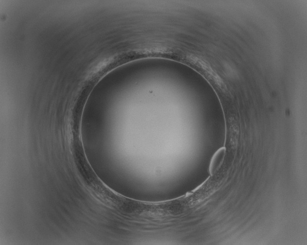 X0000051250631200506241547