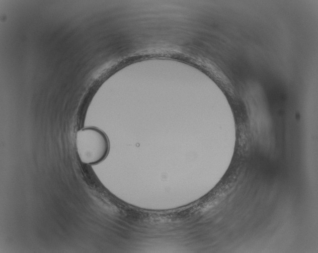 X0000051250632200506241547