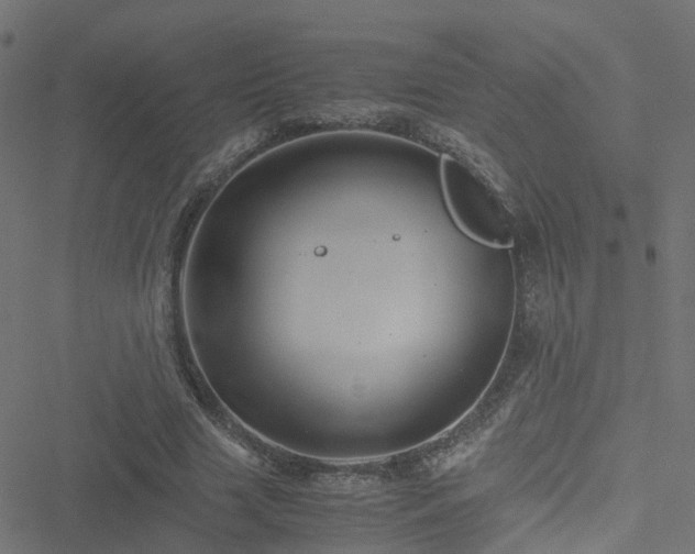 X0000051250633200506241547