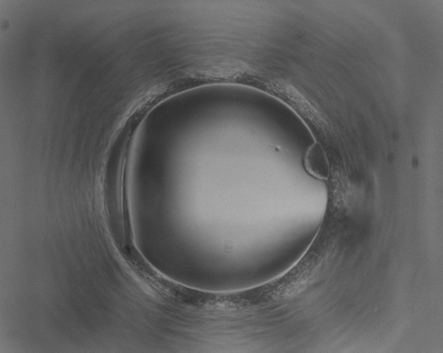 X0000051250634200506241547