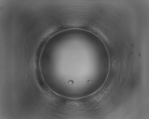 X0000051250635200506241547