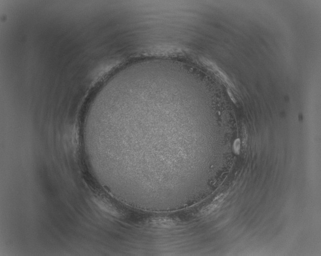 X0000051250636200506241547