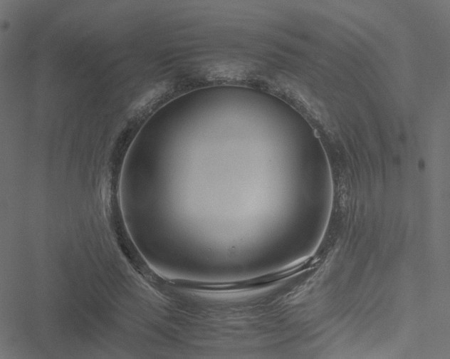 X0000051250637200506241547