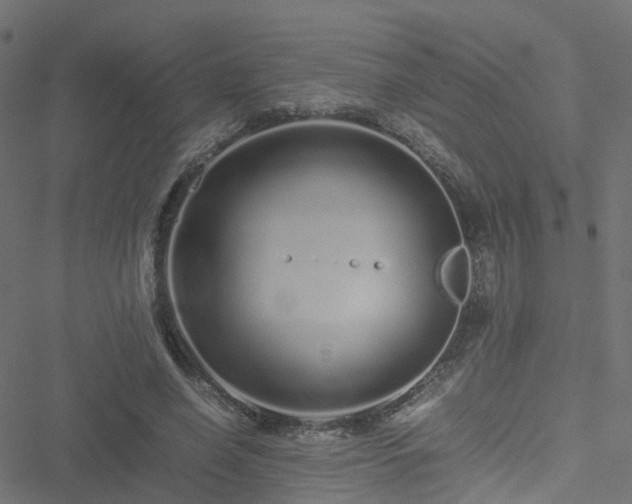 X0000051250638200506241547