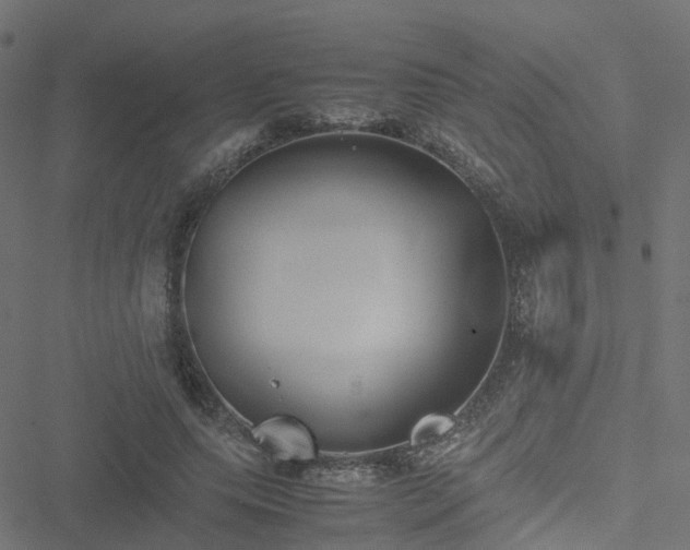 X0000051250639200506241547