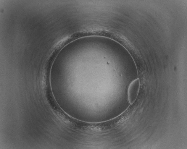 X0000051250640200506241547