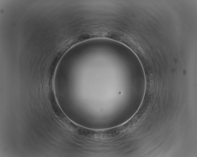 X0000051250641200506241547