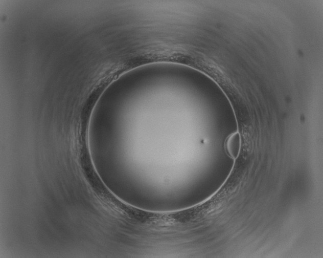 X0000051250642200506241547