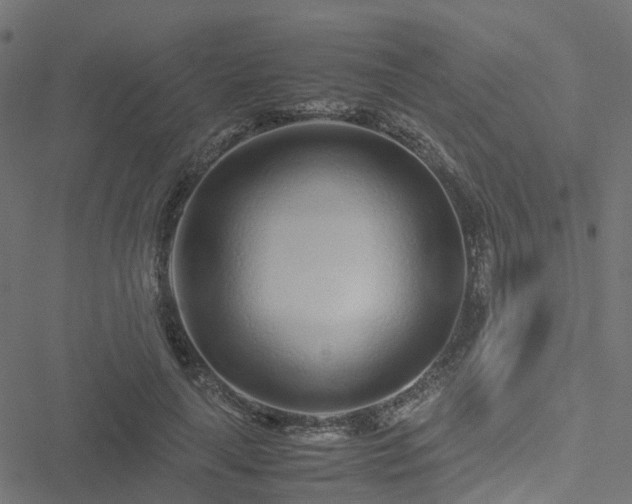 X0000051250643200506241547