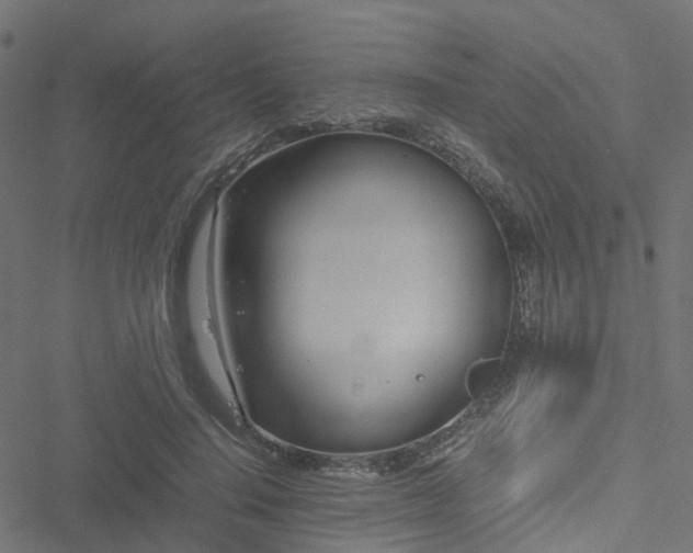 X0000051250644200506241547