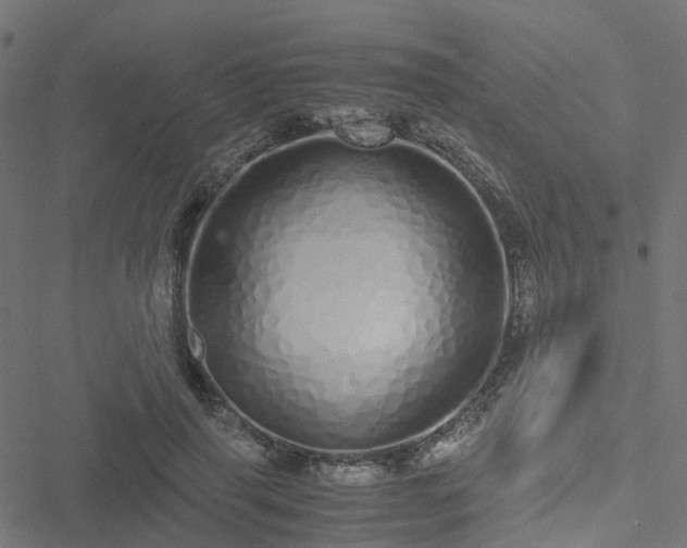 X0000051250645200506241547