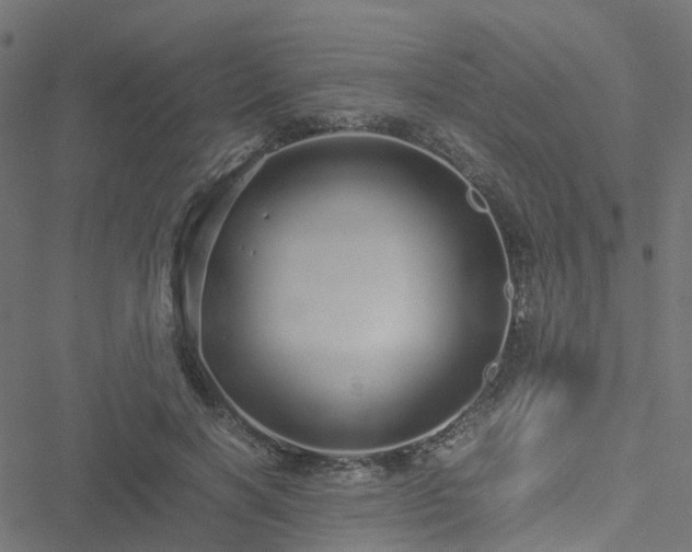 X0000051250646200506241548