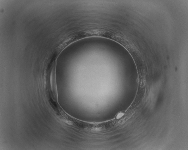 X0000051250647200506241548