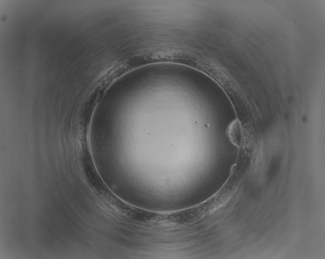 X0000051250648200506241548