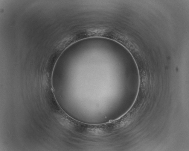 X0000051250649200506241548