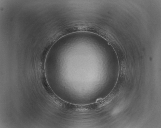 X0000051250650200506241548