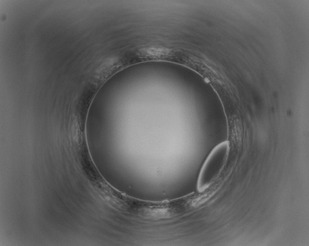 X0000051250651200506241548