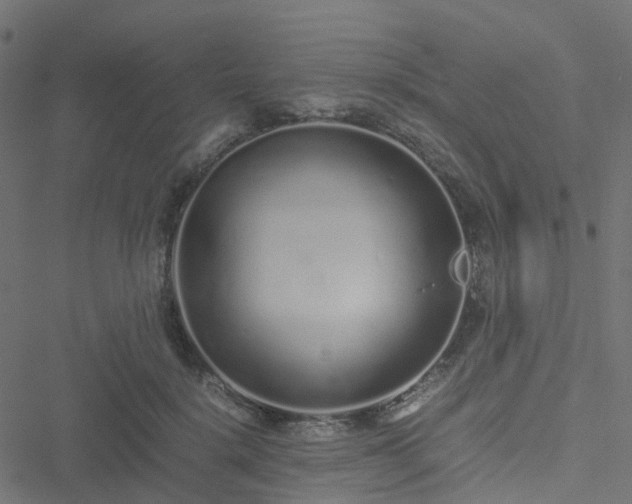 X0000051250652200506241548