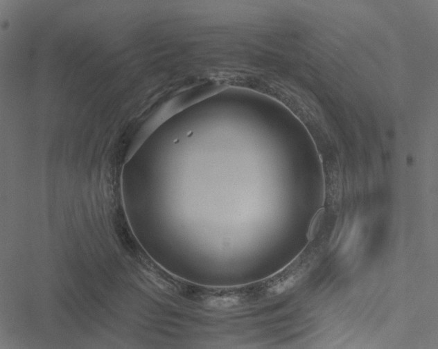 X0000051250653200506241548