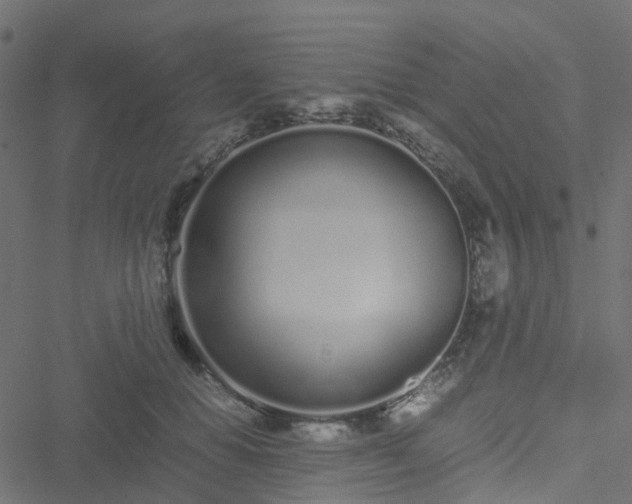 X0000051250654200506241548