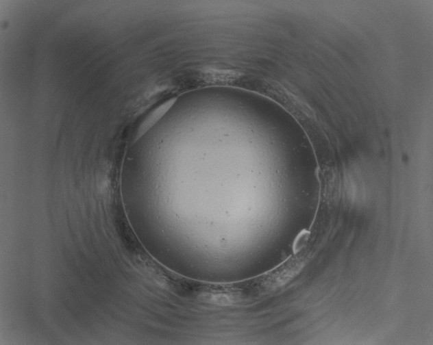 X0000051250655200506241548