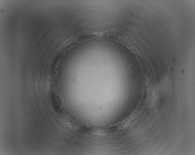 X0000051250656200506241548