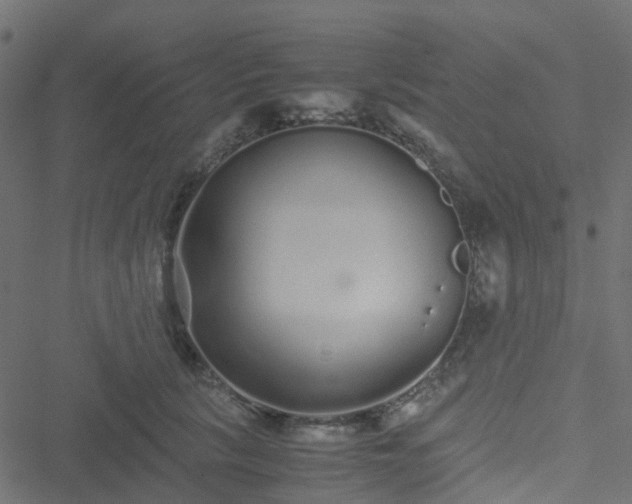 X0000051250657200506241548