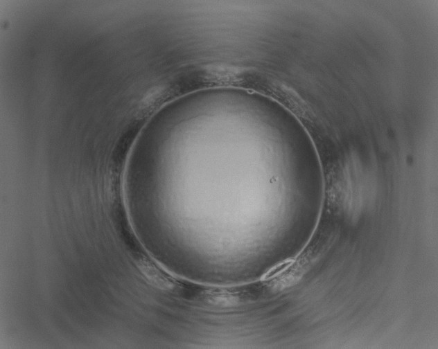 X0000051250658200506241548