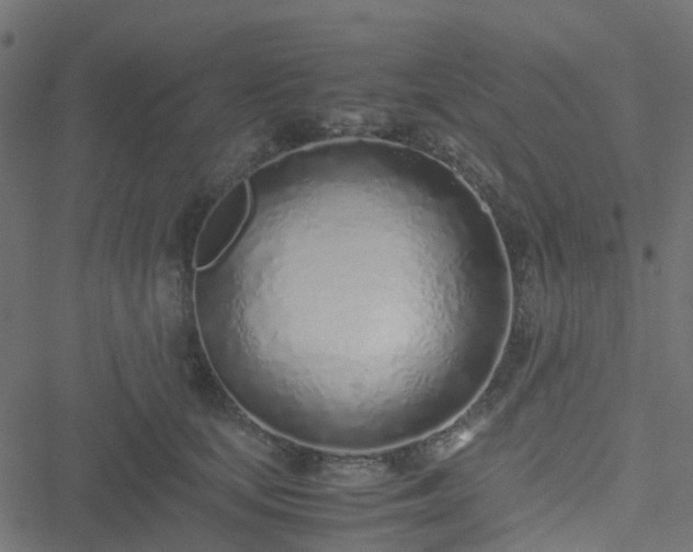 X0000051250659200506241548