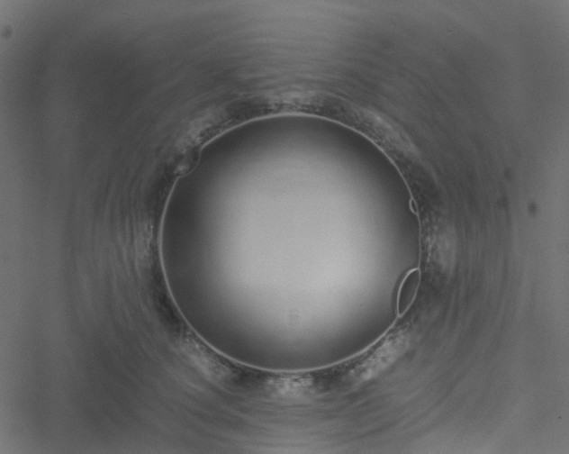 X0000051250660200506241548